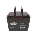 Interstate Batteries 12V, 75Ah SLA/AGM Battery For Automatic Gate Openers
