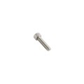 Nice Apollo Stainless Steel SHCS #10-24 x 3/4 Bolt for Gate Systems (Default)