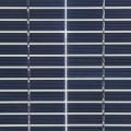 Nice Apollo SP10W24V Gate Opener Solar Panel (10 watts) for Gate Openers includes Mounting Bracket - 24VDC (Solar Panel)