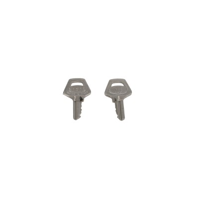 Nice Apollo Replacement Key Set #1 for Titan 912 Gate Openers Arm ...