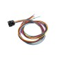 EMX 11-Pin Loop Detector Wire Harness (3' Wire) - HAR-11